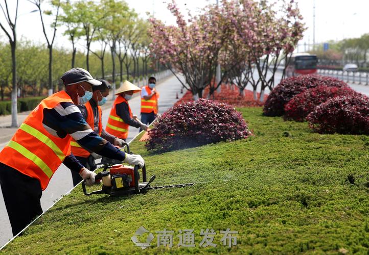 大片空地园林景观设计方案