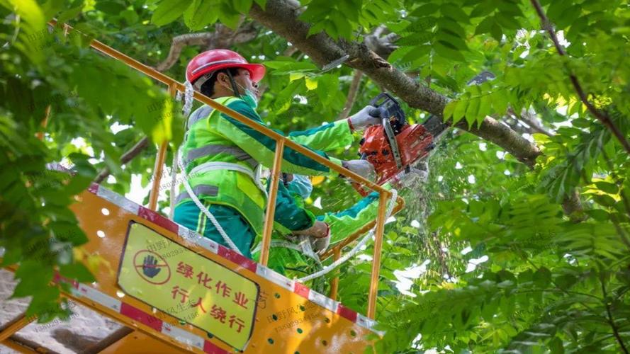 带锦鲤池的园林景观设计